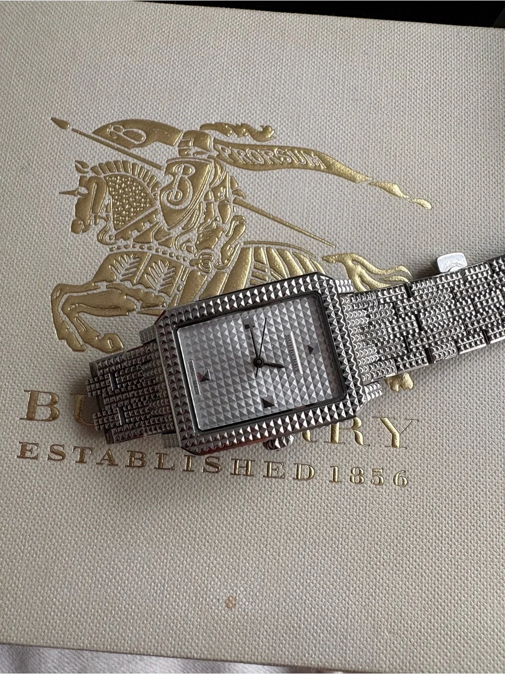 Burberry Silver Watch Links & Replacement Pins